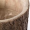 Vintiquewise Wooden Stump Tree Log with Bark Planter Pot with Small Tree Branch Legs QI003837 - alternate 6
